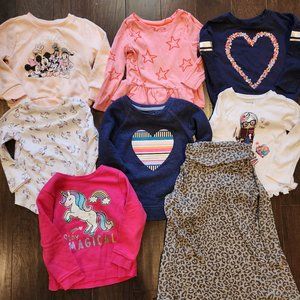 Toddler Girl Long Sleeve Tops lot Size 3T